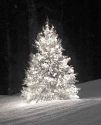 Grigio Natale