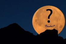 Perch&egrave;?